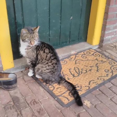 Appartement Hoeve Polsdonk 奥斯楚特 外观 照片