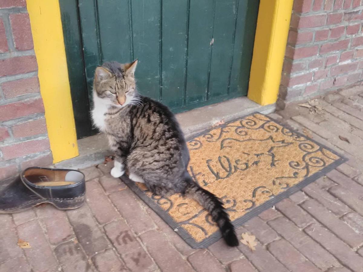 Appartement Hoeve Polsdonk 奥斯楚特 外观 照片